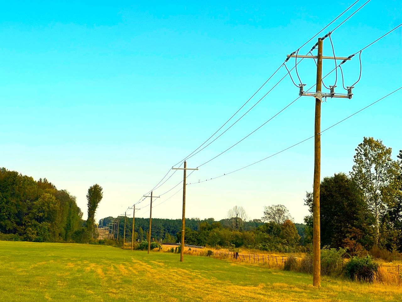 In just this year alone, crews have installed 213 new poles and rebuilt more than 4 miles of power lines in Coldwater.